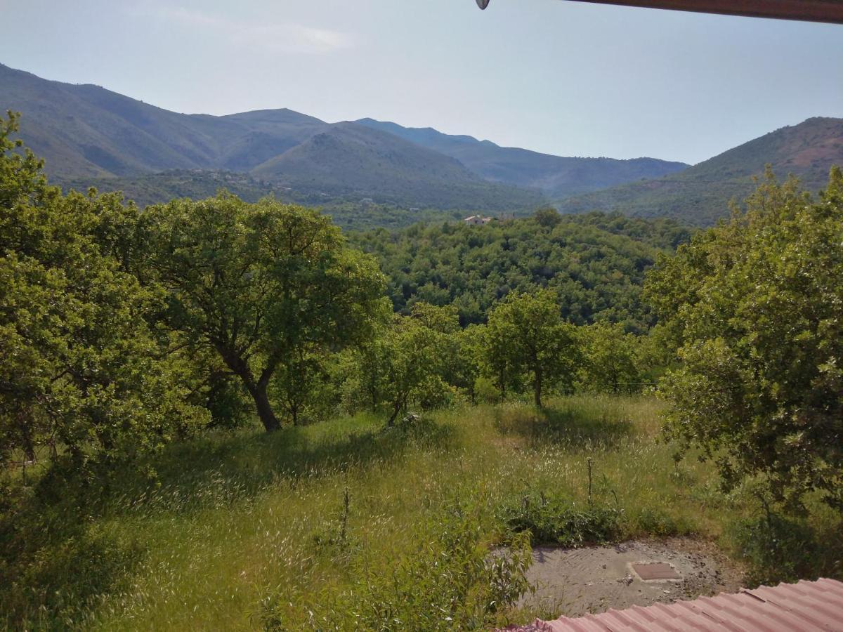 Fraoulitsa Holiday home Skoutarion
