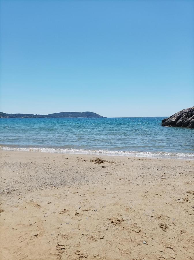Fraoulitsa Skoutárion